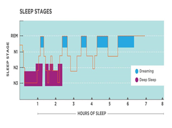 Active In Redbourn sleep stages